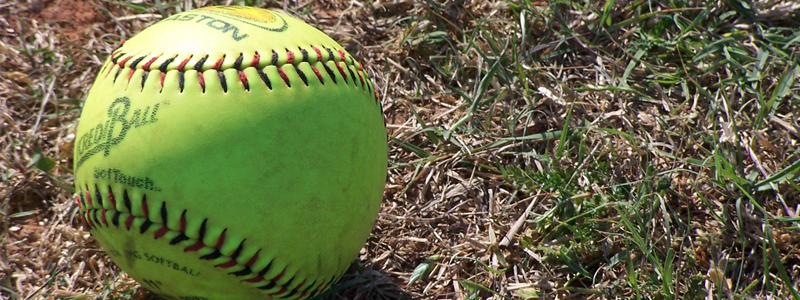 A softball laying on the grass on a sunny morning.
